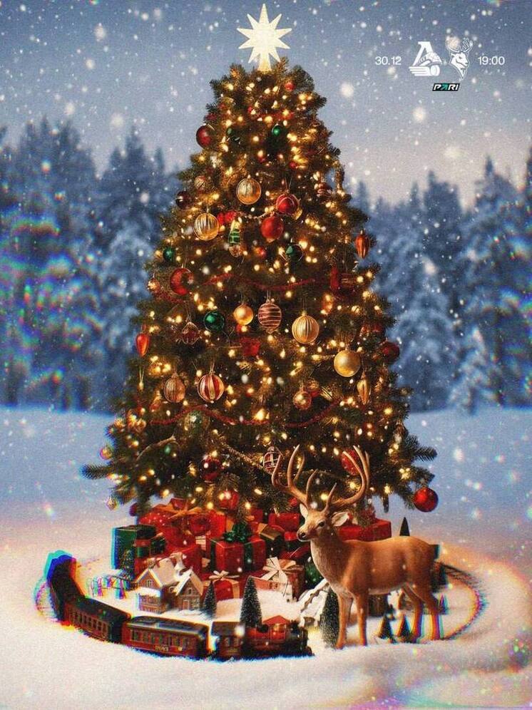 «Торпедо» сыграет последний матч в году