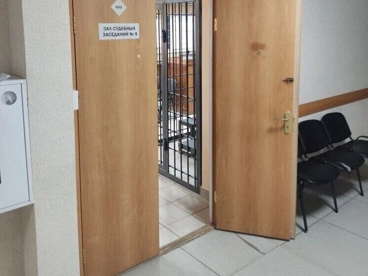 Женщину, убившую детей в Иркутске, поместили под стражу на 2 месяца