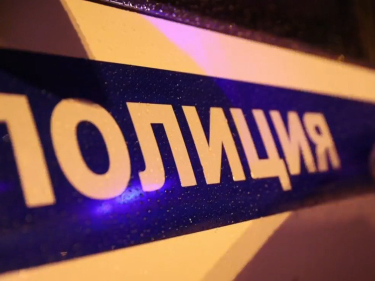 На дорогах Ленобласти произошло 103 ДТП за минувшие сутки: пострадали 5 человек