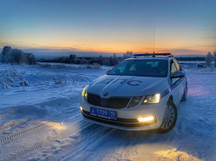 Сегодня в Петрозаводске пройдет массовая проверка водителей
