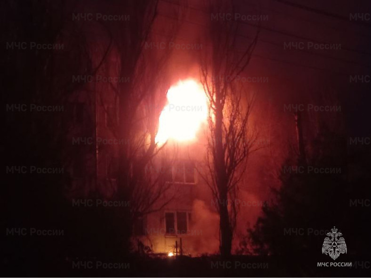 В Херсонской области за сутки в результате пожаров погибли два человека