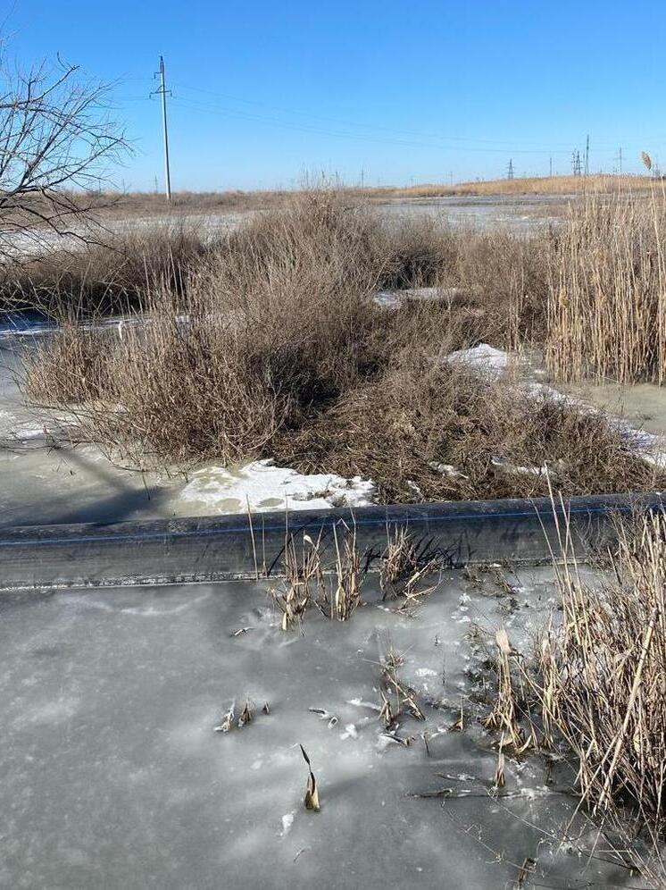 Астраханское МБУ выплатило ущерб за разлив сточных вод на почву