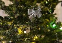 Жители Алтайского края активно готовятся к Новому году и выбирают подарки для родных и близких