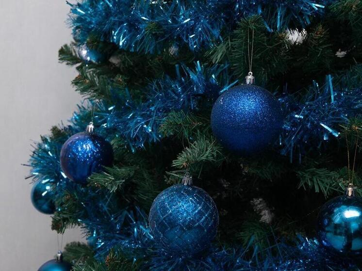 Серпуховскому школьнику исполнили новогодние желание