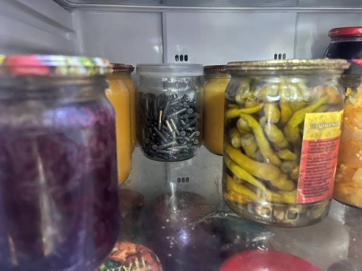 Житель Омской области хранил патроны в холодильнике