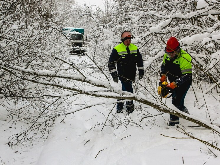 Энергетики «Смоленскэнерго» устраняют последствия сильного снегопада