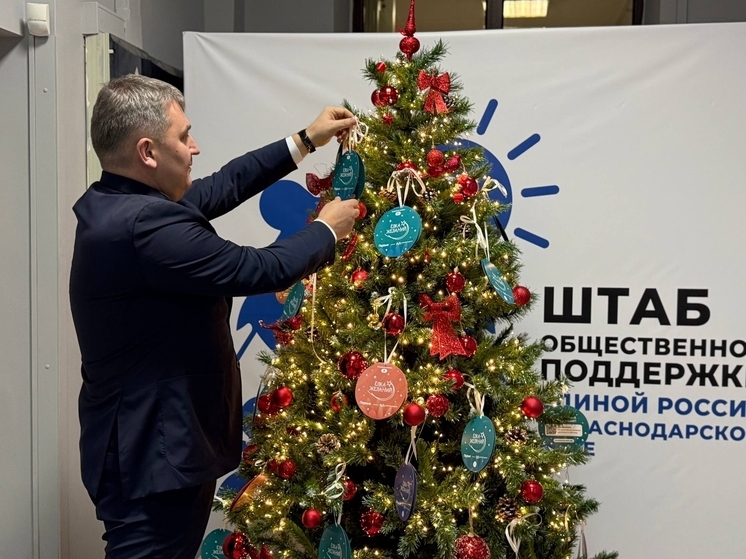 Депутат Госдумы Ламейкин: «Ёлка желаний» дает возможность каждому из нас стать немного волшебником