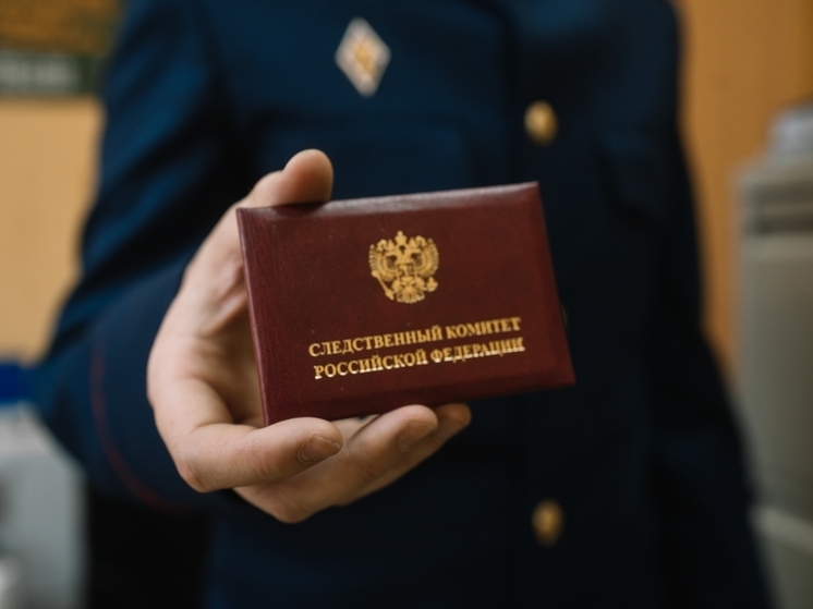 Житель Вязьмы осужден за мошенничество в сфере кредитования