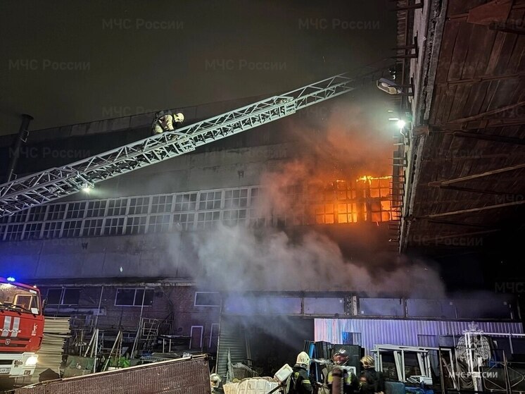 Владимирские спасатели более 8 тысяч раз выезжали на ЧП и потушили больше 3 тысяч пожаров за год