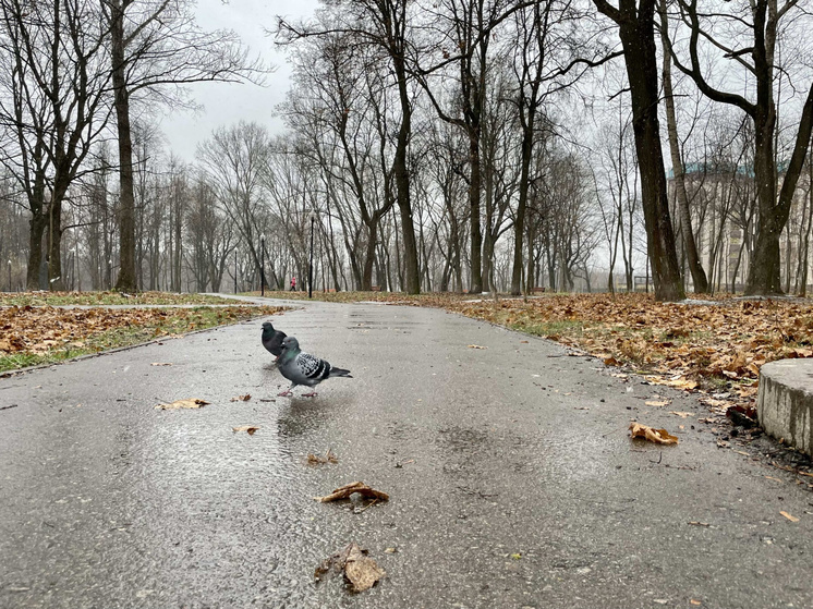 Россельхознадзор объявил предостережение ЛПХ за нарушение ветеринарных правил