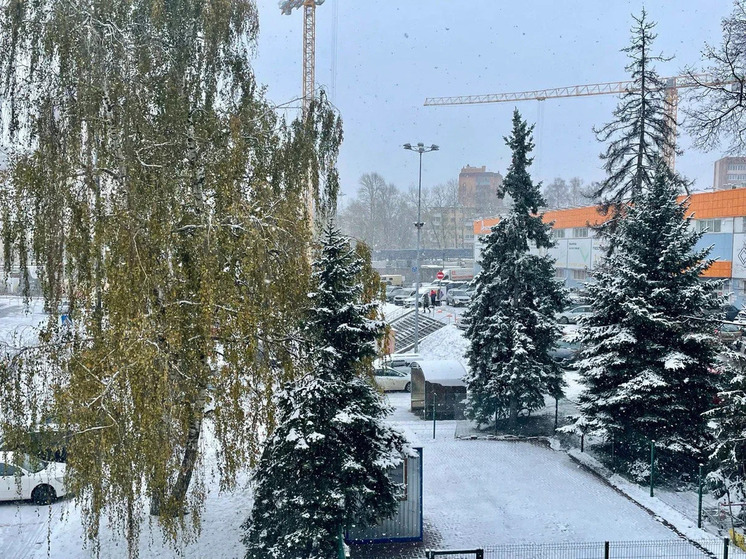 ГИБДД обратилась к рязанцам из-за непогоды