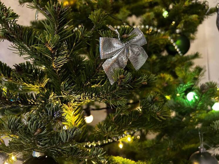 Жители Алтайского края активно готовятся к Новому году и выбирают подарки для родных и близких