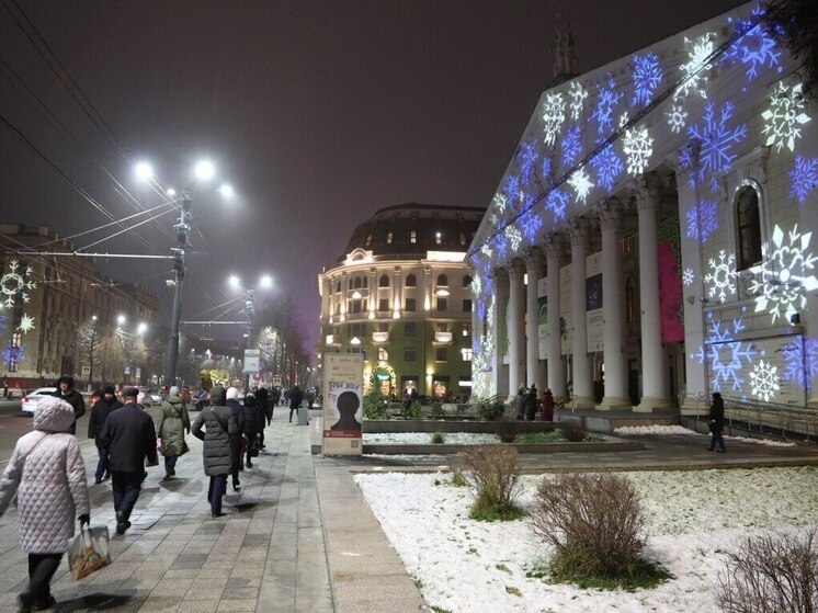 Воронежцам рассказали о городских мерах безопасности в новогодние каникулы