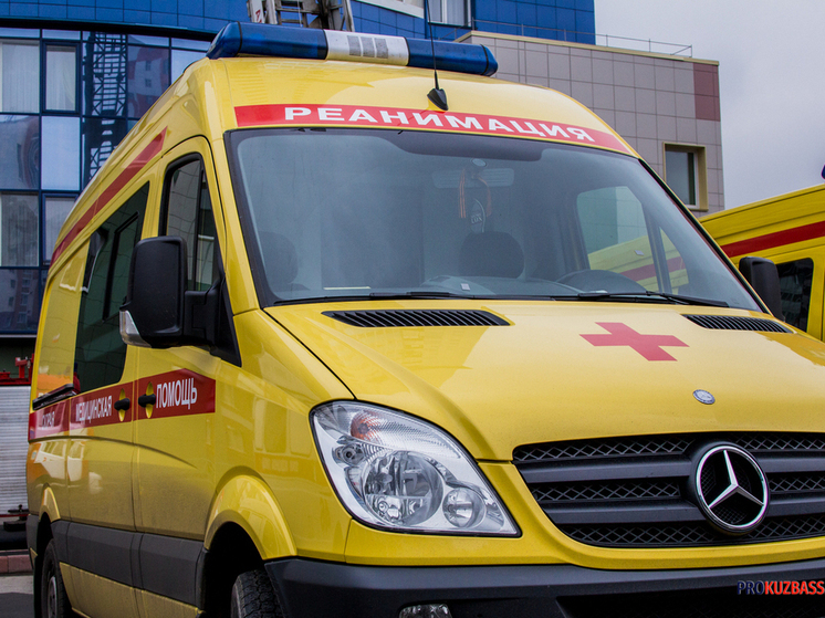 Кузбасские медики объяснили, какие продукты лучше выбрать к празднику