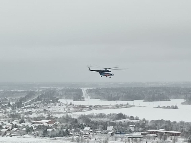 Санавиация Вологодской области за 2025 год совершила почти 250 вылетов