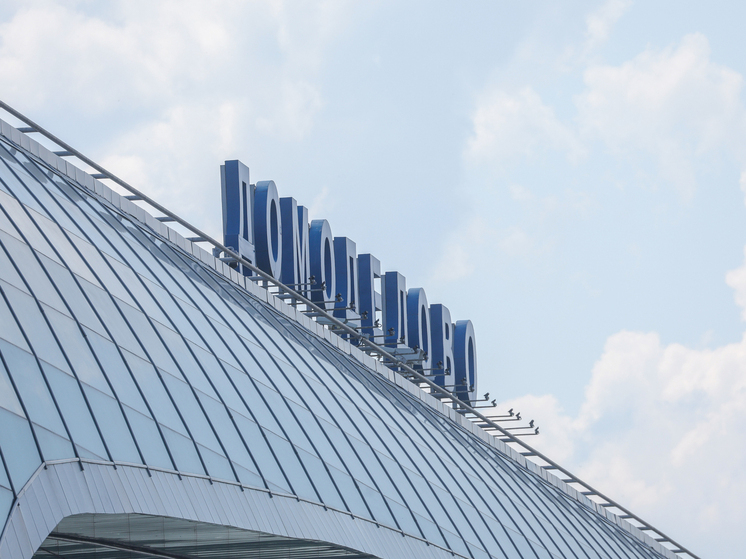 Аэропорт Домодедово выставят на открытый аукцион в начале 2026 года