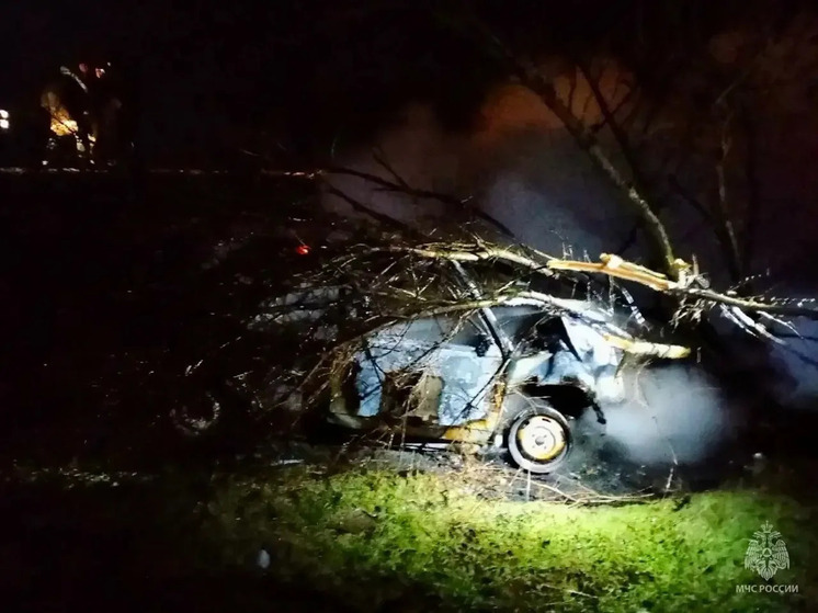 Калмыцкие спасатели ликвидировали последствия ДТП в Яшалтинском районе