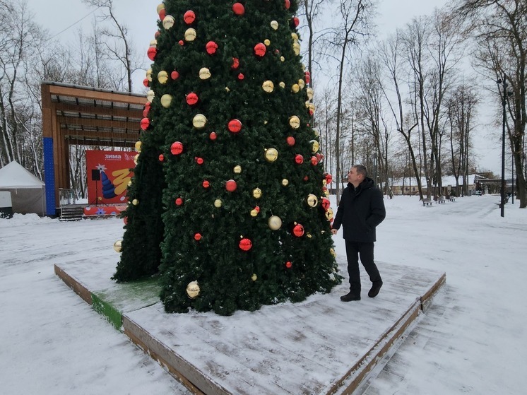 Серпуховский ветеран прошел через новогодний «Портал желаний»