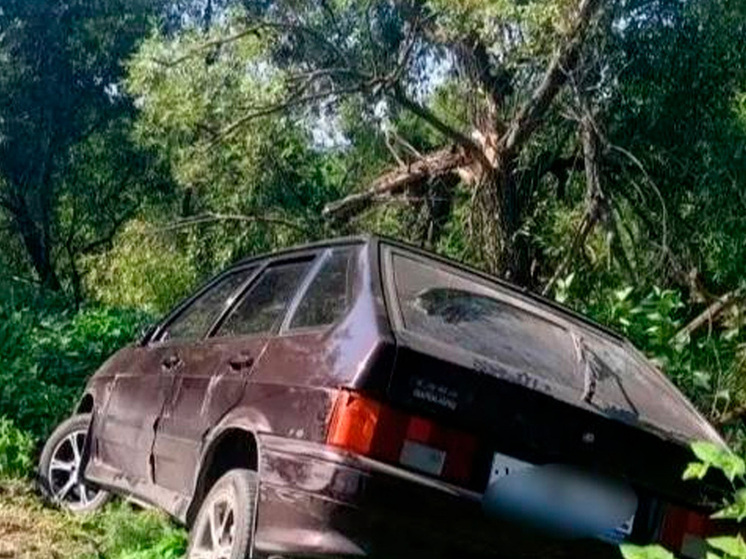 18-летний угонщик из Липецкой области предстанет перед судом за неудачный поджог