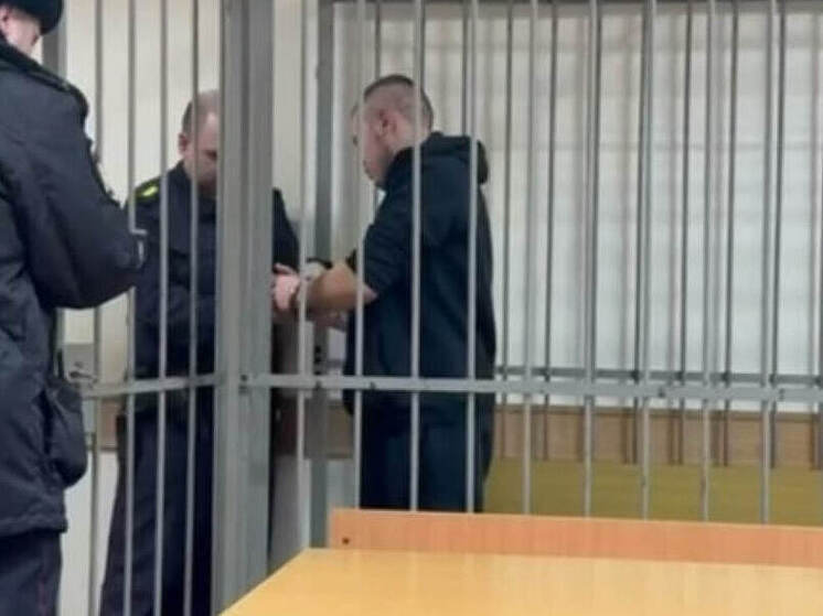 В Рязани осудили 29-летнего курьера телефонных мошенников