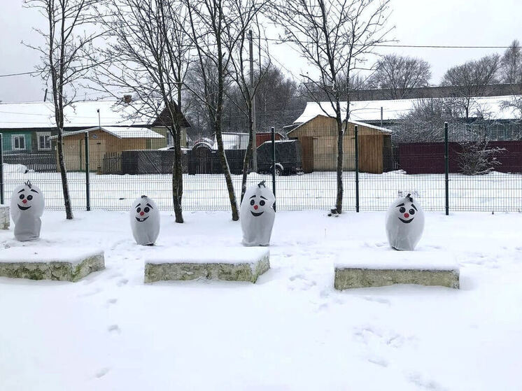 Чехлы в виде снеговиков сшили грязовецкие школьницы для защиты туй