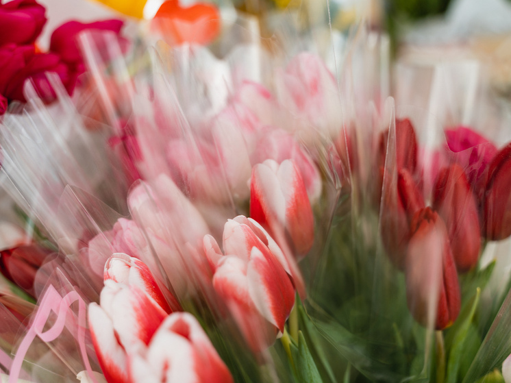 Ветеран Великой Отечественной войны из Тверской области Нина Румянцева отмечает 101-летие