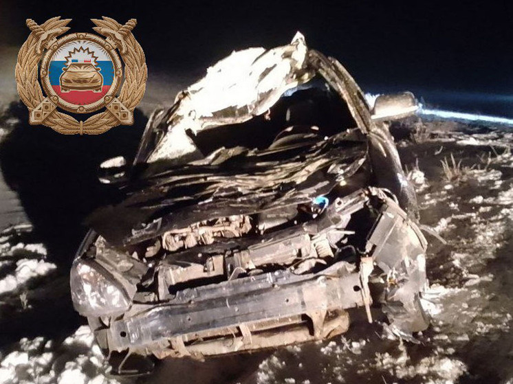 Два человека пострадали в столкновении автомобиля с лошадью