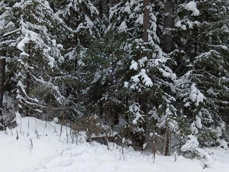 Природные парки Свердловской области в праздники будут работать ежедневно
