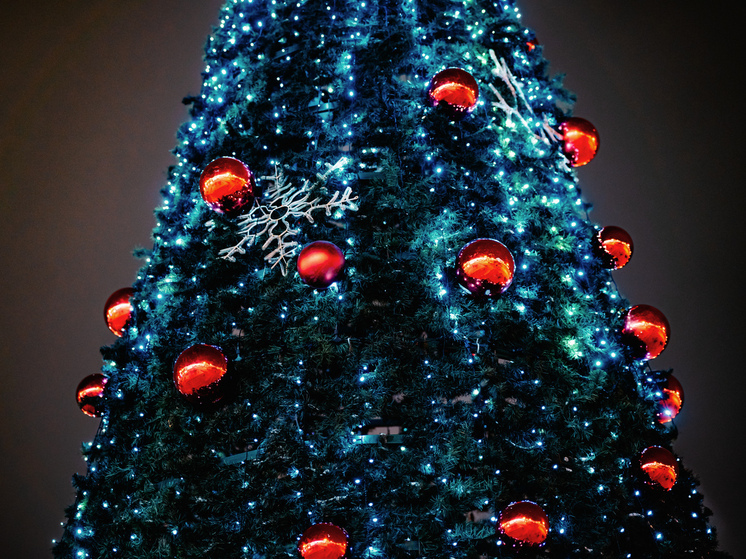 В Твери пытались похитить Новый год: по указанию мошенников девушка подожгла елку в центре города