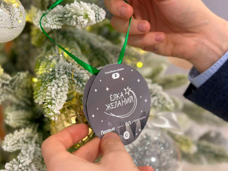 Глава Ельца Вячеслав Жабин поддерживает акцию «Ёлка желаний»