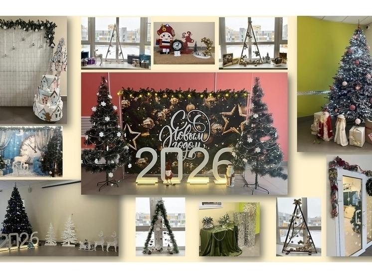 Школа № 80 Пензы победила в конкурсе на лучшее новогоднее оформление