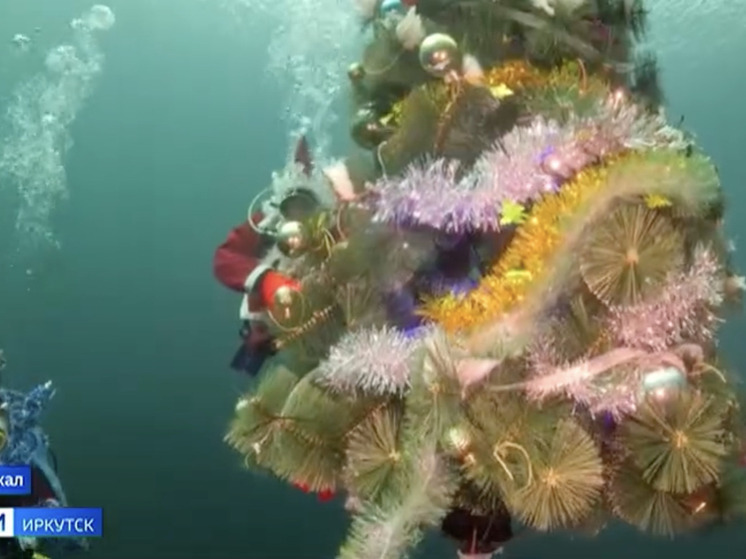 Дайверы устроили подводный хоровод вокруг ёлки на дне Байкала