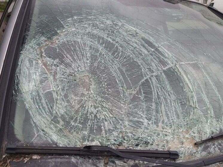 На автодороге Мишуково – Снежногорск пострадали три человека в лобовом ДТП