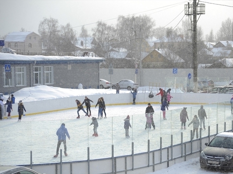 Шуян пригласили на лед