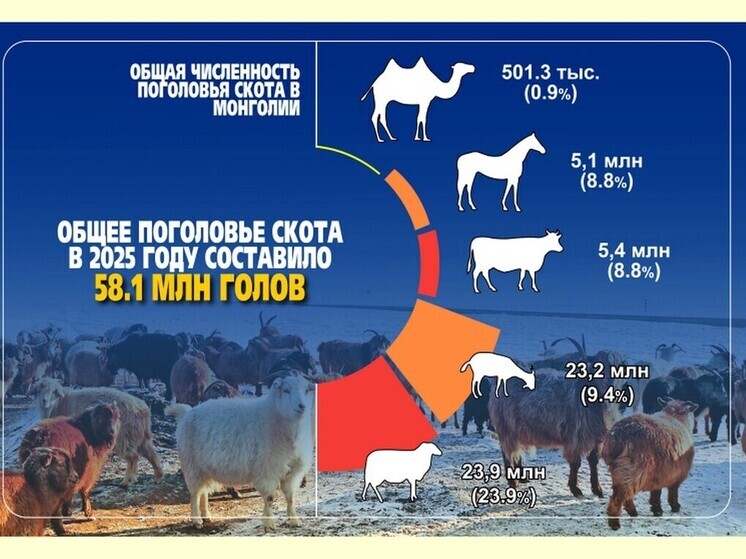 Поголовье скота в Монголии чуть выросло: до 58,1 млн голов