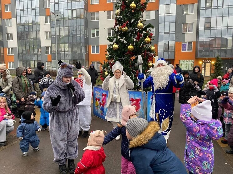 На терртории Ленобласти пройдут 700 новогодних мероприятий