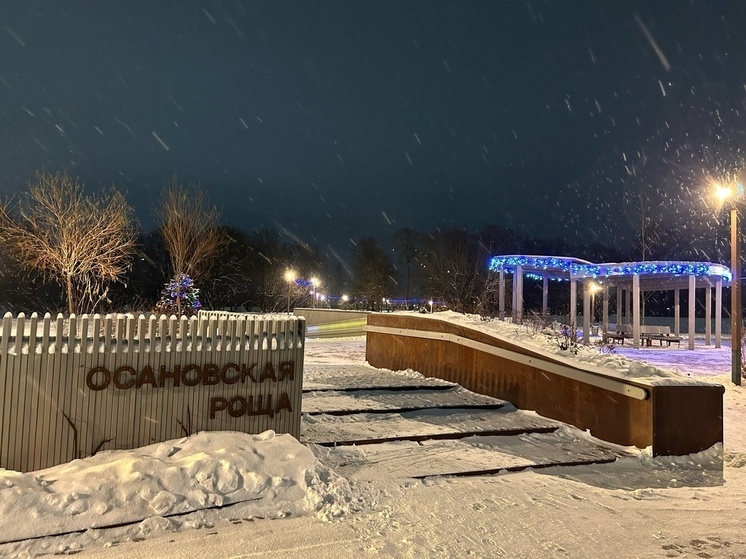 Осановская роща в Вологде стала местом притяжения вологжан и туристов