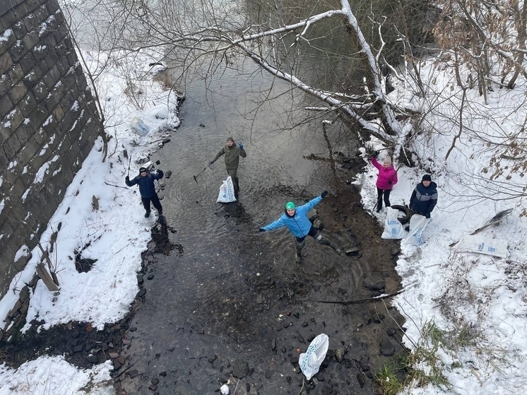 В Курске на «Утином острове» завершился экологический субботник