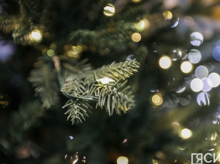 Айсен Николаев исполнил новогодние мечты участников акции «Ёлка желаний»