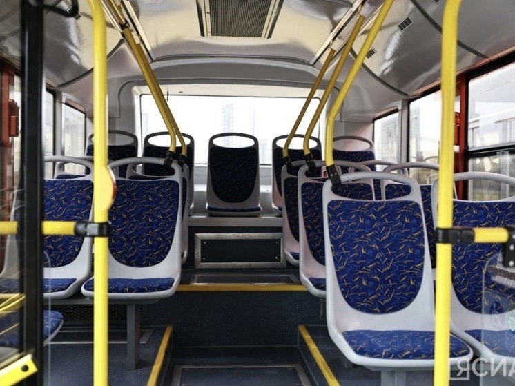 В новогоднюю ночь в Якутске запустят бесплатный автобус №100н