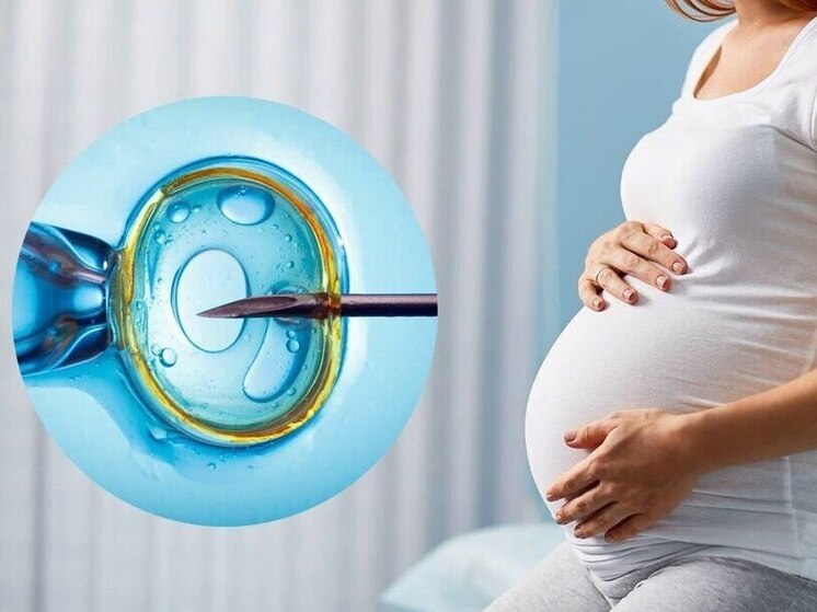 Квот на ЭКО в Нижегородской области в 2026 году выделят больше