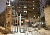 В жизни Ларисы Долиной, как известно, происходят не слишком приятные события