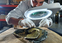 Замысловатые растительные узоры на керамике возрастом 8 тысяч лет, созданной представителями халафской культуры в Северной Месопотамии, оказались не просто украшением