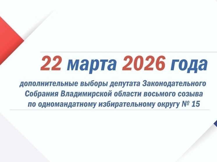 В марте первые выборы пройдут в обновлённых Суздальском и Ковровском районах