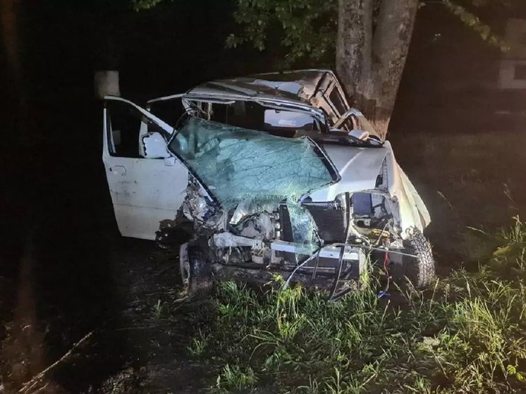 В Таловой вынесли приговор матери, виновной в гибели сына в пьяном ДТП