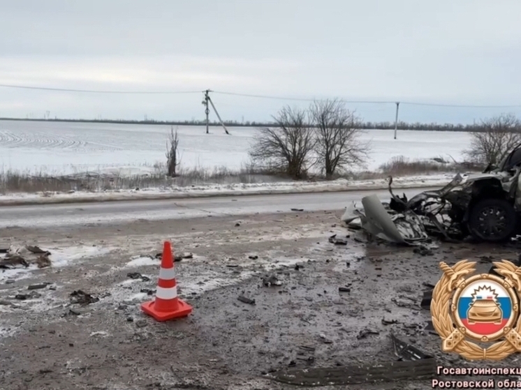На Дону в массовом ДТП погиб один человек,  еще двое пострадали
