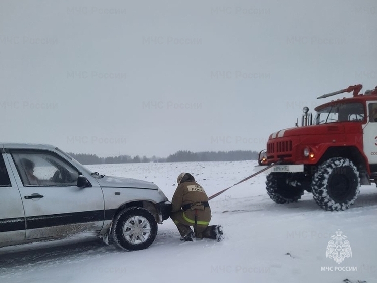 В Орловской области женщине-водителю помогли пожарные