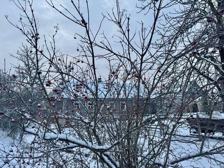 ТОС за интернет: «Ростелеком» в Псковской области обеспечил около 500 домохозяйств возможностью подключить услуги по оптике