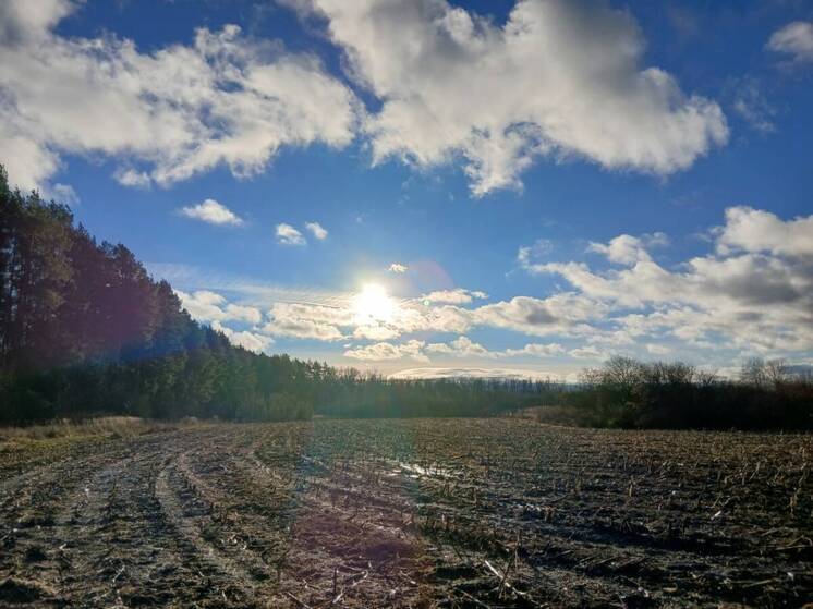 Средневековое поселение обнаружили археологи под Казанью
