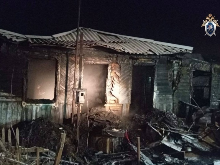 В Курской области СК расследует гибель мальчика при пожаре в Будановке